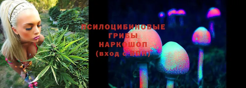 Галлюциногенные грибы Magic Shrooms  Крым 